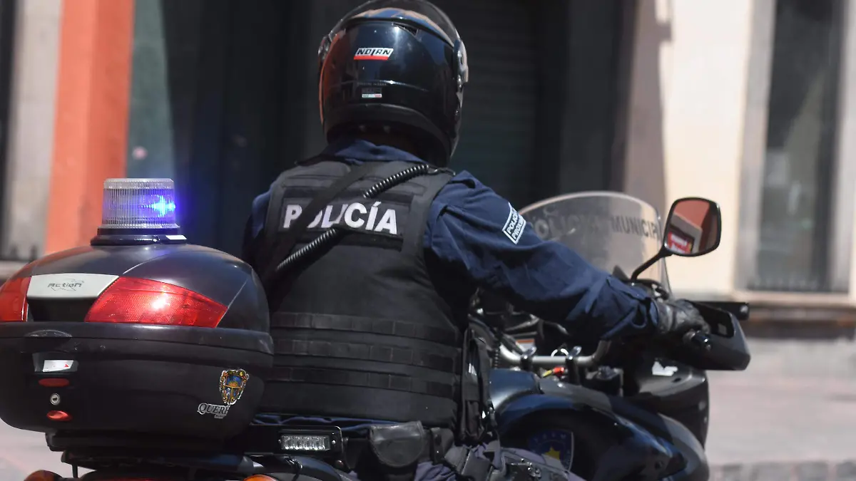 Modelo policial